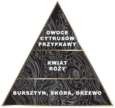 DEZODORANT W SZTYFCIE SALMING GOLD